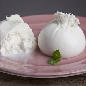 Burrata bio shop online