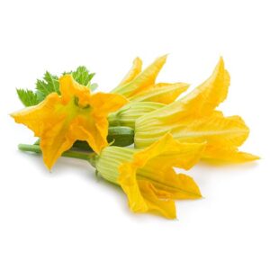 fiori di zucca freschi Shop online