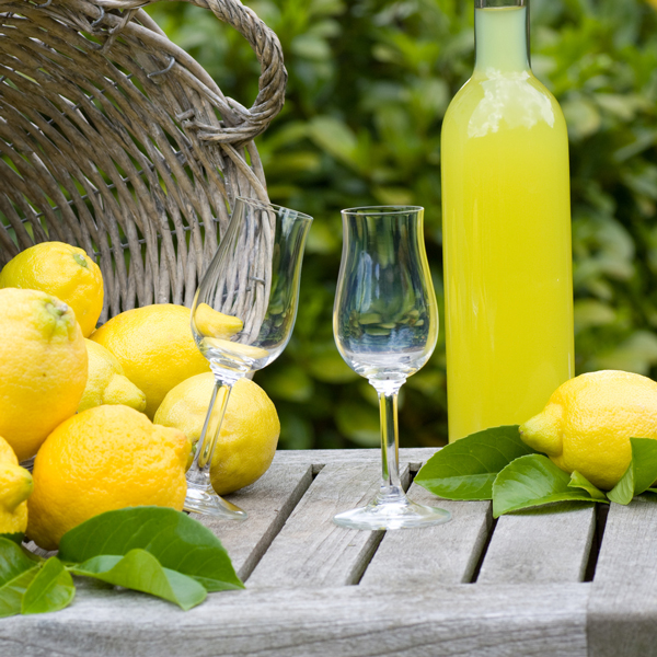 limoni di Amalfi Shop online