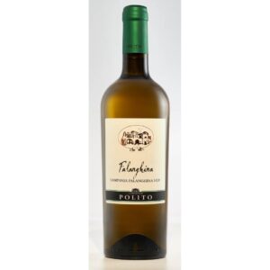 Vino Falanghina Cantina Polito shop online