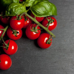 Pomodori ciliegino shop online