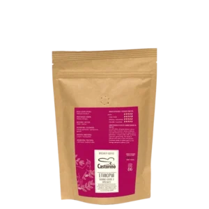 Distributore all’ingrosso grossista Caffè in grani Etiopia Sidamo Specialty Castorino