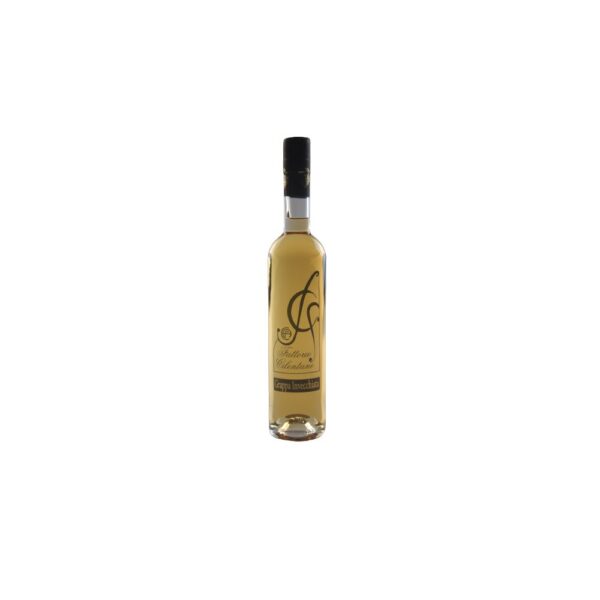 Distributore all’ingrosso grossista Grappa Invecchiata Fattorie Cilentane