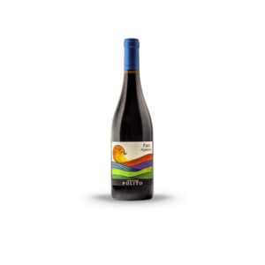 Distributore all’ingrosso grossista Vino Paes Aglianico Cantina Polito