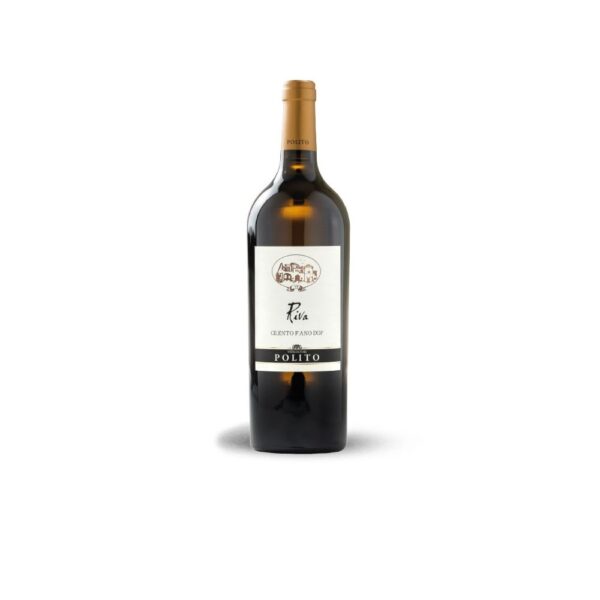 Distributore all’ingrosso grossista Vino Riva Cilento Cantina Polito
